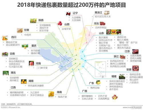回顾 2020年中国生鲜农产品供应链研究报告